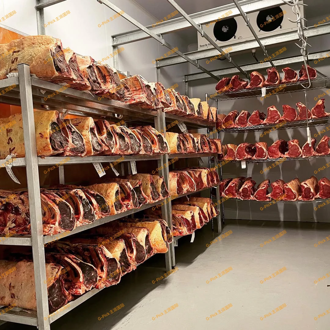 DRYMÛR主派干式熟成库房定制 电场熟成牛肉深海鱼猪肉定制商用