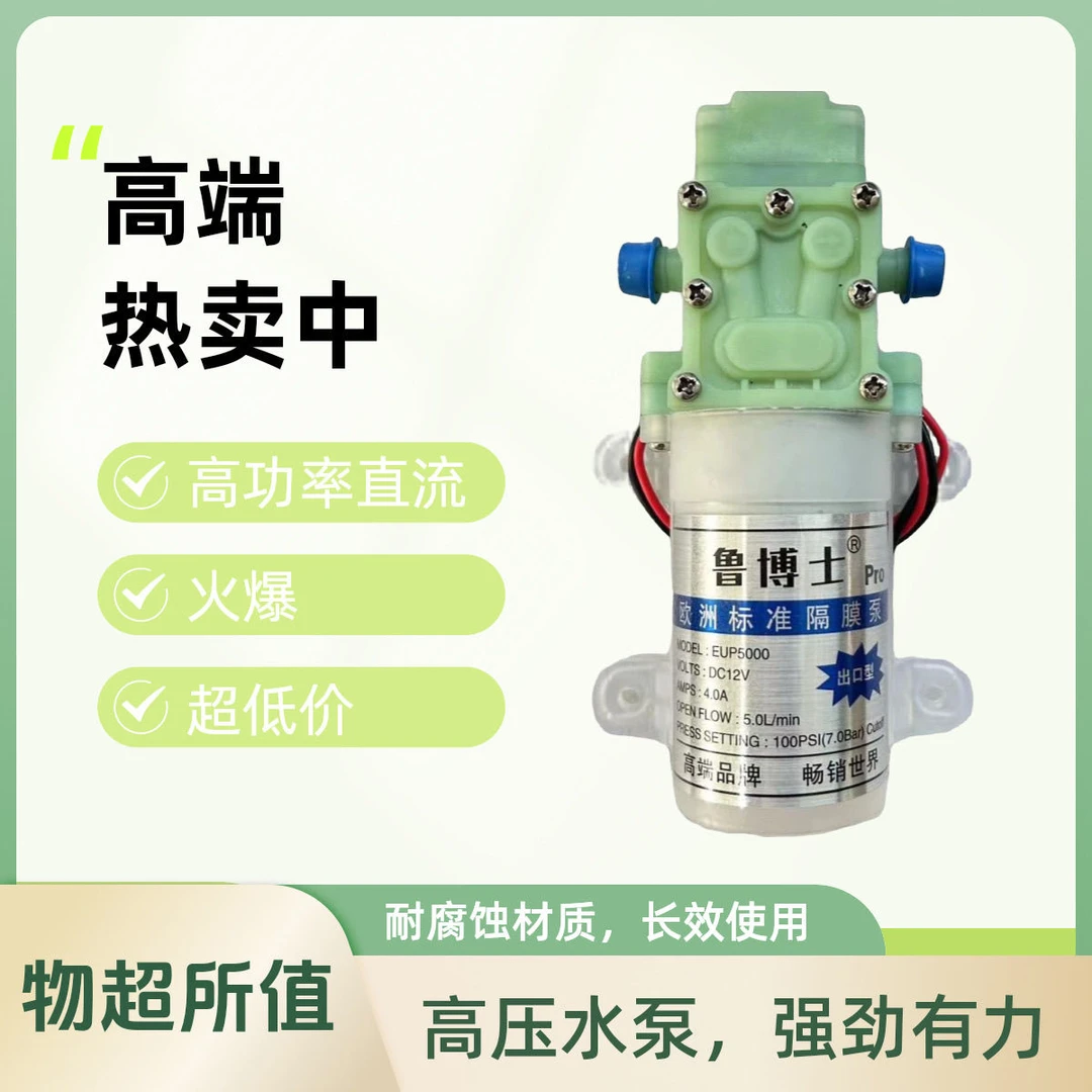 电动喷雾器水泵12v特大功率鲁博士出口型Pro水泵高压喷雾器自动