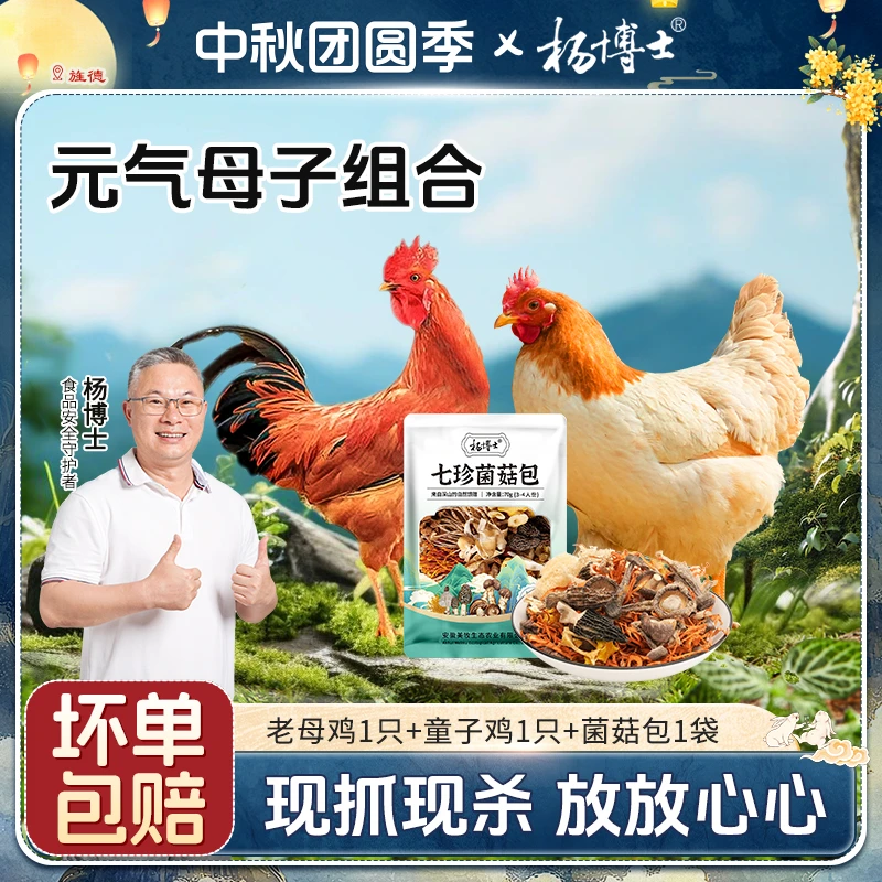 【元气母子】杨博士皖南深山散养土鸡土鸭菌汤包套餐 包冰率不含冰