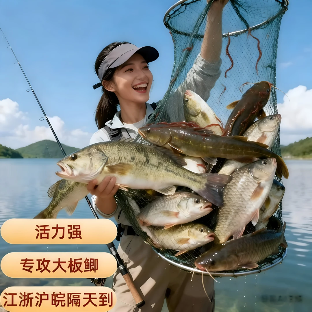【直播福利】现货速发/鲜活红虫公虫活体鱼饵鱼食黑坑公虫野钓饵料