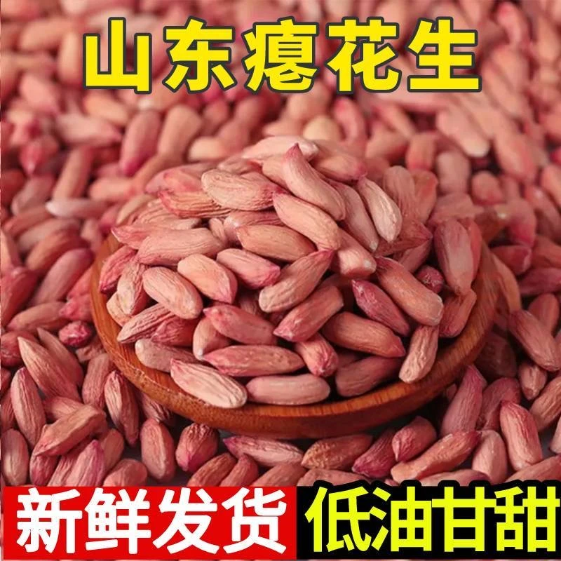 2024年种子新米新货精选瘪花生山东新鲜农家晒干甘甜清香零食