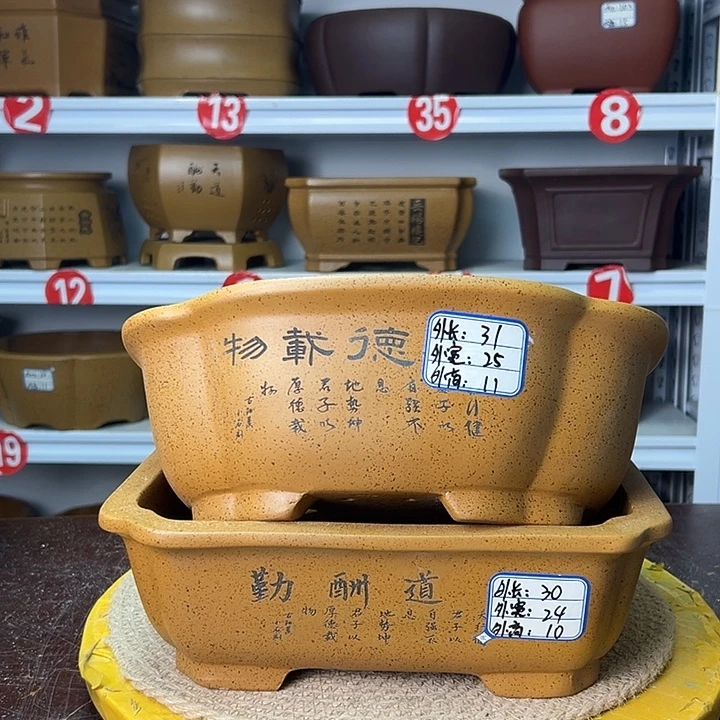 紫砂花盆你在一起