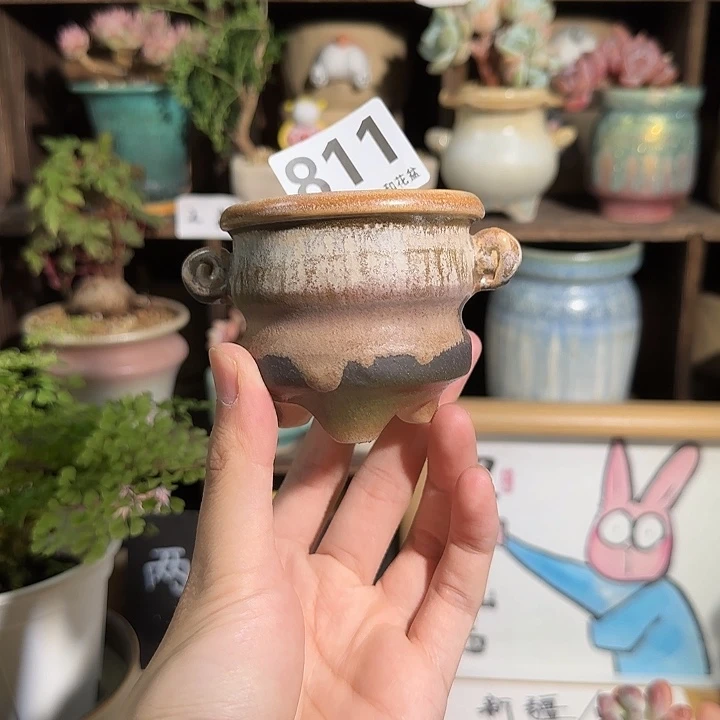 811 口5 默认微瑕非偏远两单包邮