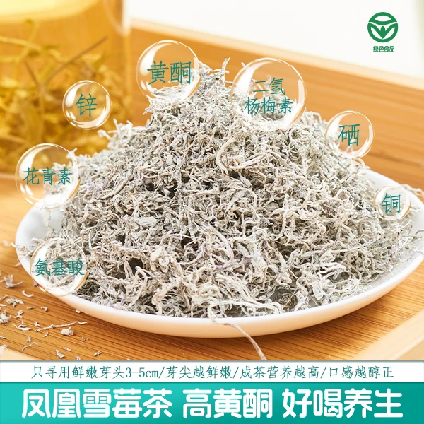 绿寨莓茶凤凰雪茶礼盒包装张家界土家精选芽尖莓茶显齿蛇葡萄叶