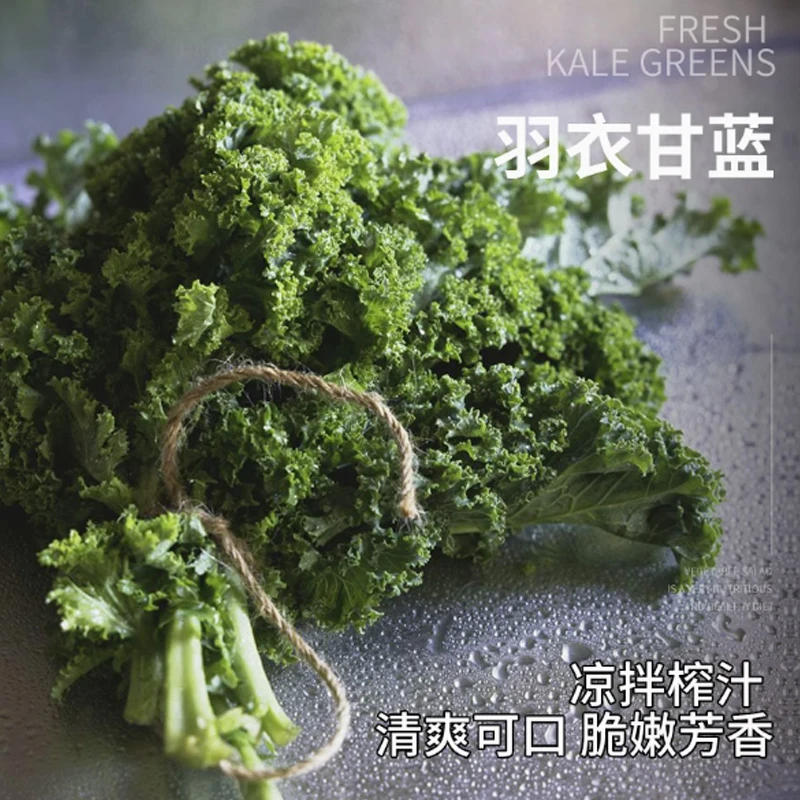 新鲜羽衣甘蓝 蔬菜沙拉食材嫩叶甘兰kale西餐健身榨汁包邮顺丰