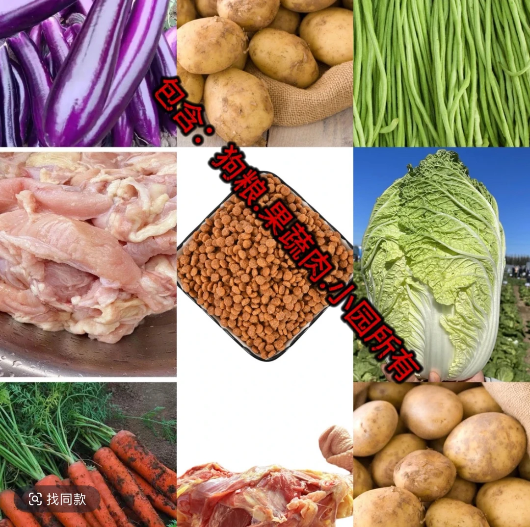 【给小院崽崽做饭吃】蔬菜.狗粮.宠物专用