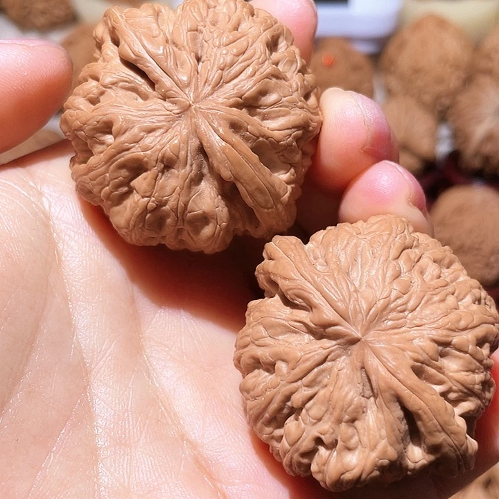 把件文玩核桃粗筋45+尺放漏款
