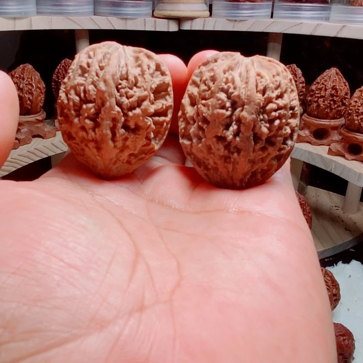 文玩核桃把件蚂蚁盾