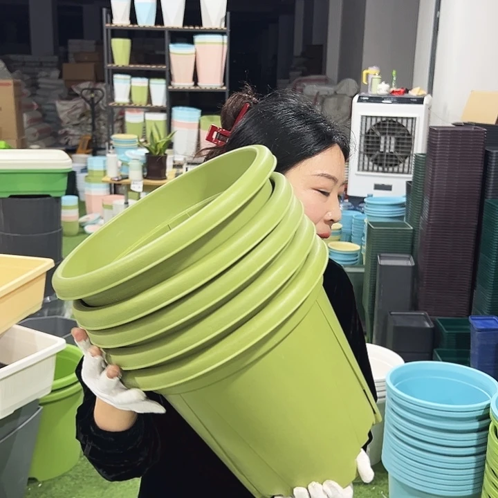 青山口32高28果绿5只无托