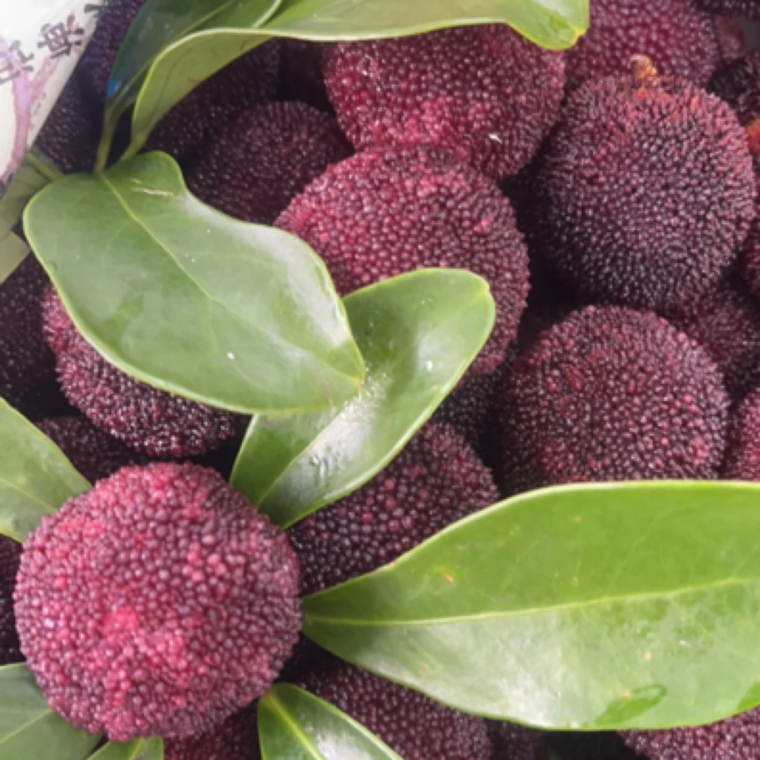 东魁杨梅1盒350克 甜度高，个大，风味浓郁，爆汁，肉质紧致，包装随机