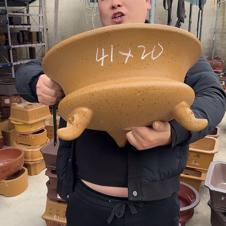 花盆紫砂这是什么