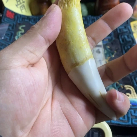 陶官方链接放心拍