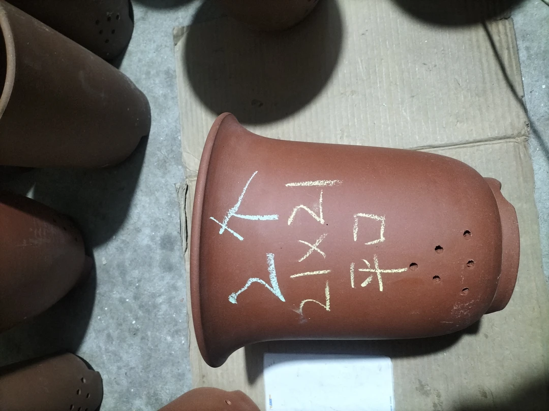 红平口金钟两个微微