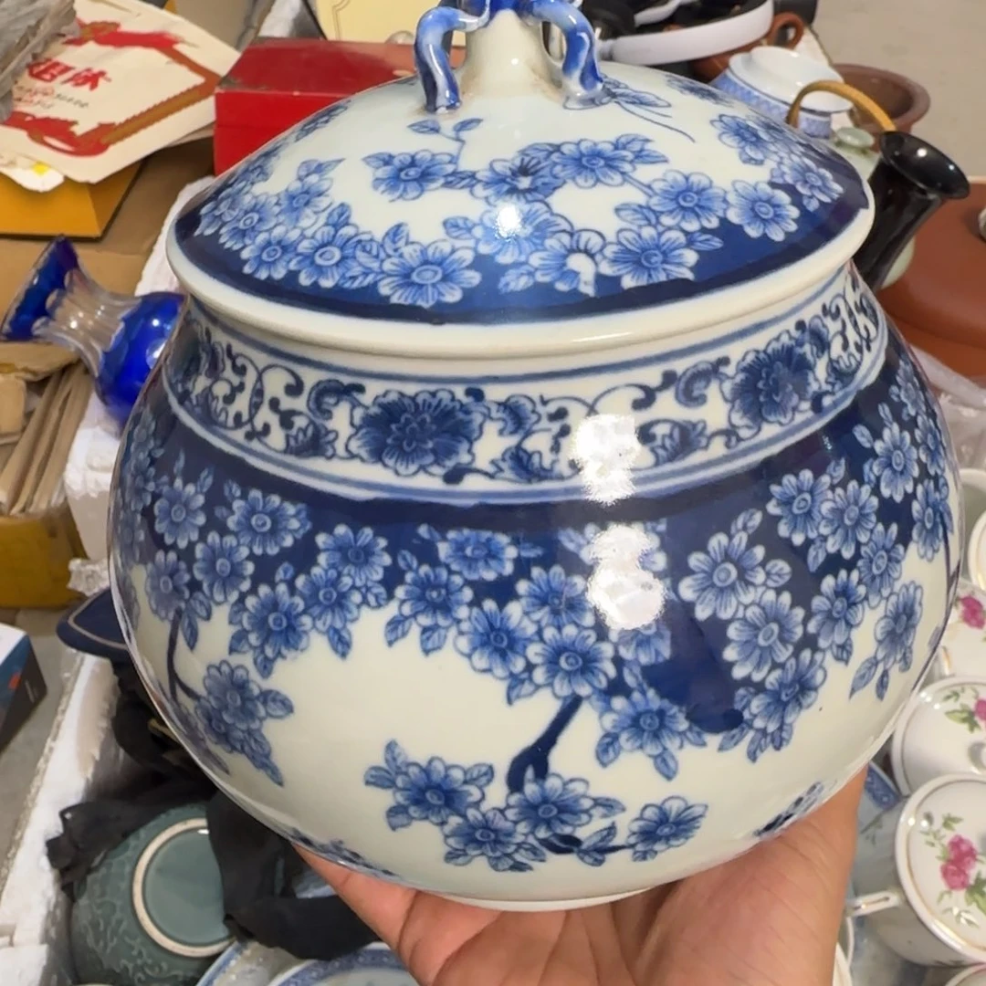 你***的杂色豆（科檀/科特迪瓦檀木）