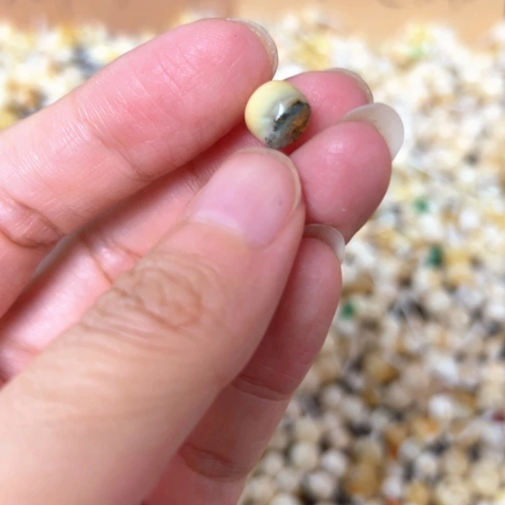 裸石蜜蜡未镶嵌8mm一个