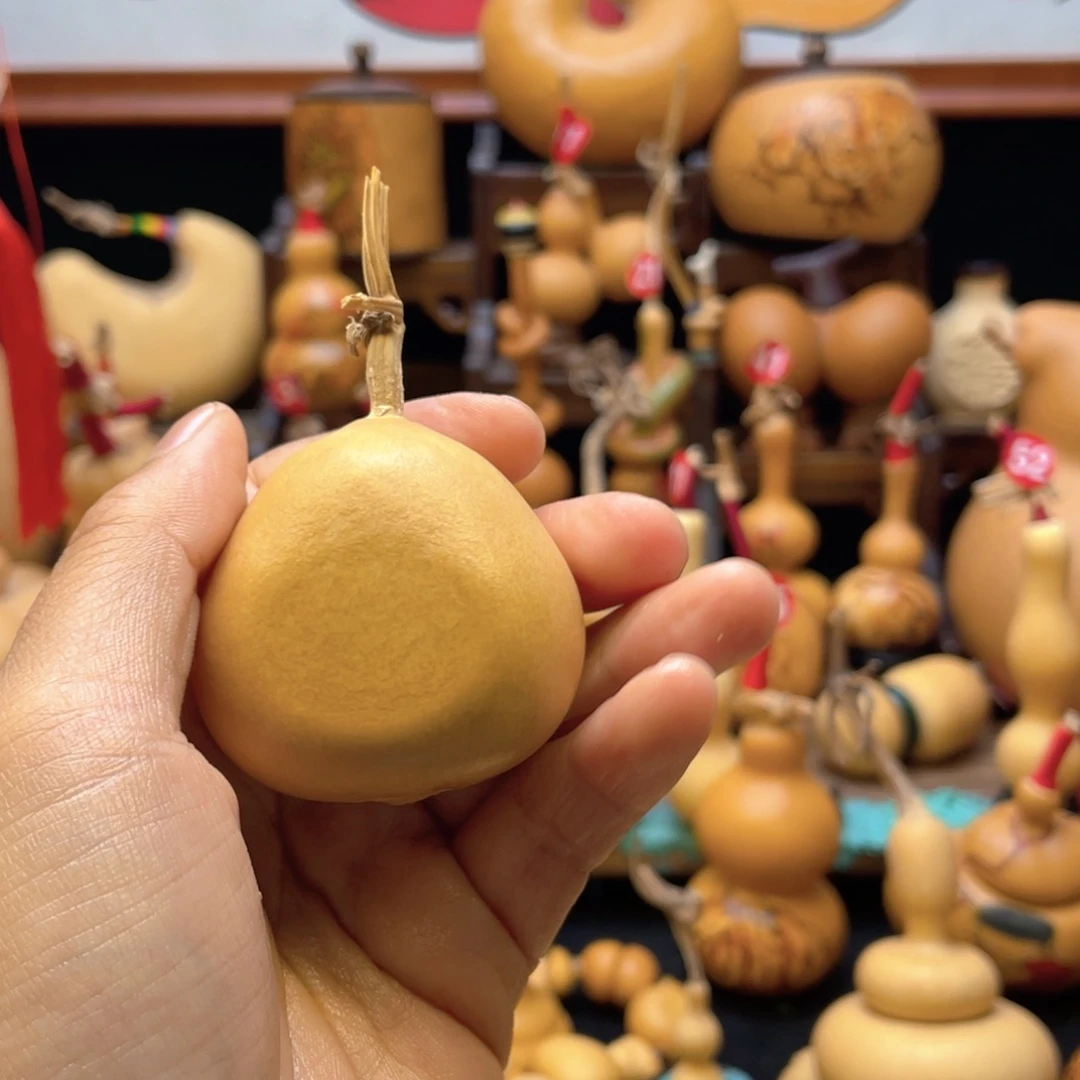 n*w大自然的秘密是什么呢我的