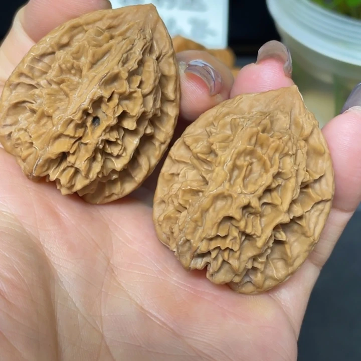 核桃把件秦岭核桃种植区大龙纹