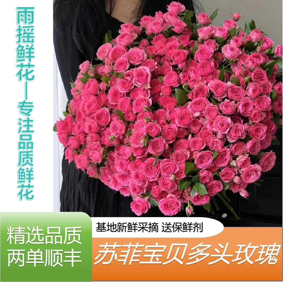 【苏菲宝贝】云南基地直发任意拍两单顺丰 插花 鲜花直播间现场卖花