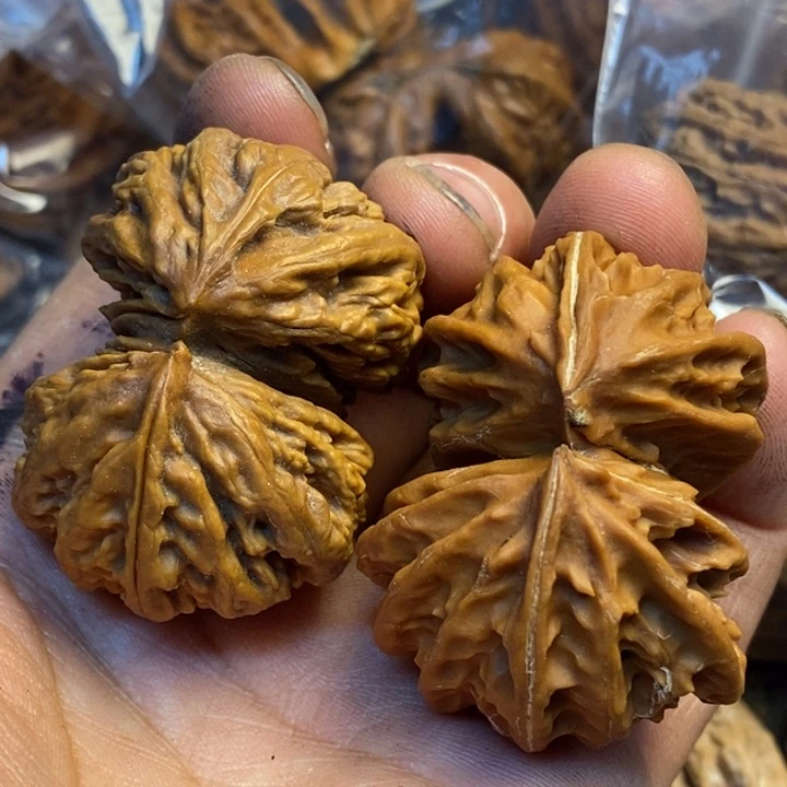 如***你吊坠桃核娜姐真的202