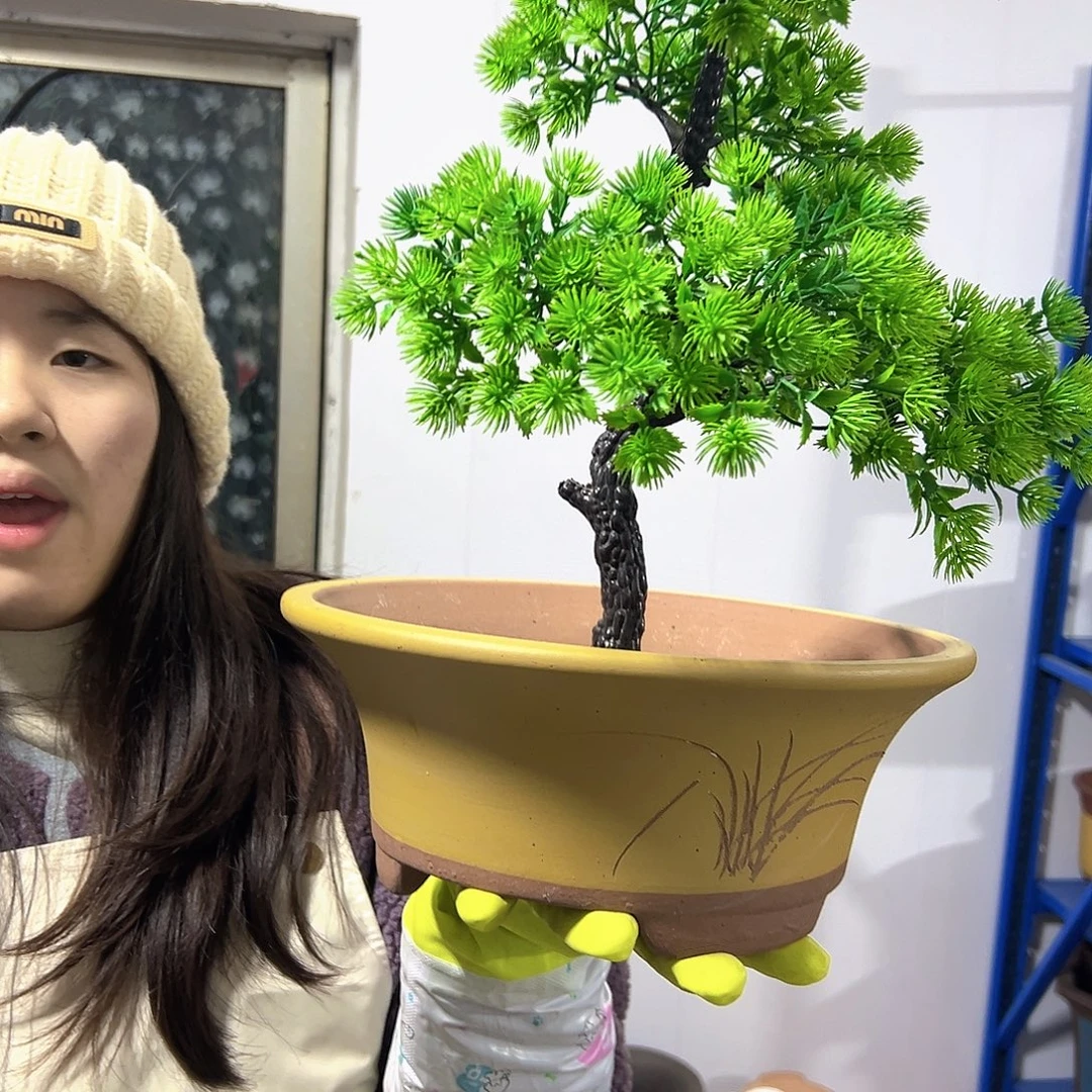 27黄票口花盆花盆花盆花盆