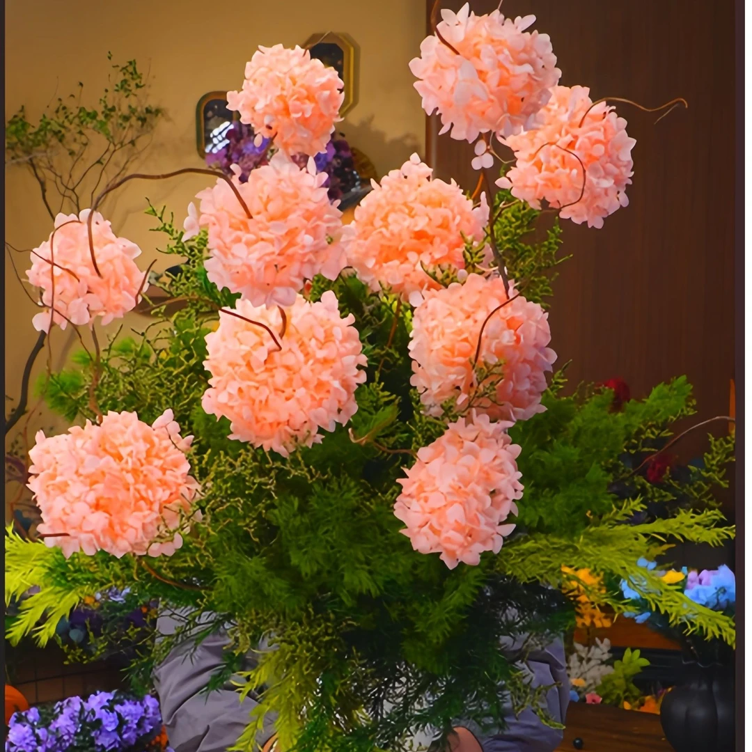 【繁枝揽月】高端稀有超漂亮小众永生花Z