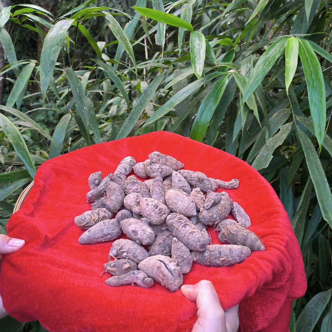 1【雪-三-七】净含量500g-1500g【小孟现收】