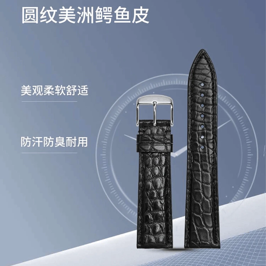 单面圆纹鳄鱼皮手表带男女通用 适配天王/罗西尼/飞亚达/依波