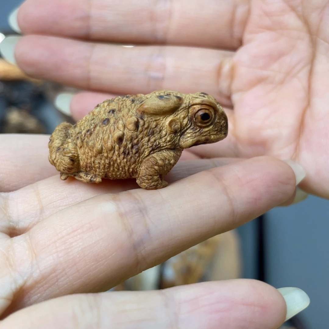 太行崖柏陈化瘤3.8cm