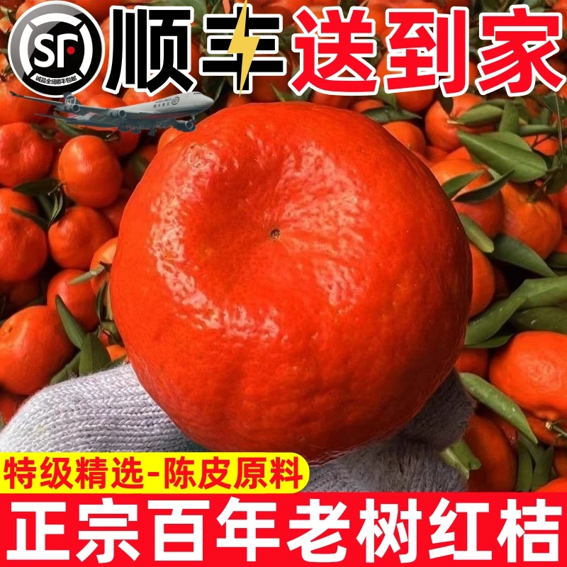 顺丰包邮上门老树川红橘万州大红袍新鲜现摘可做陈皮的酸甜水果