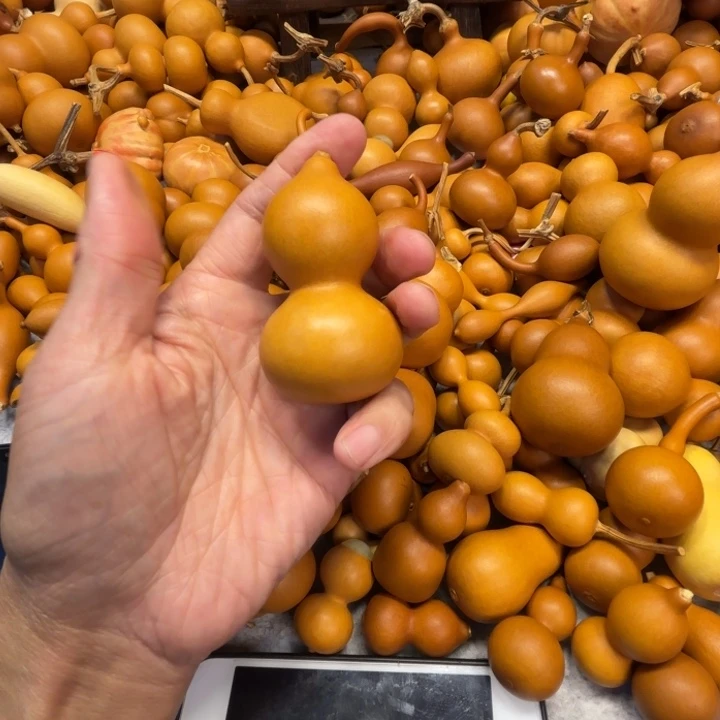 随**安安的一把奶嘴八包葫芦