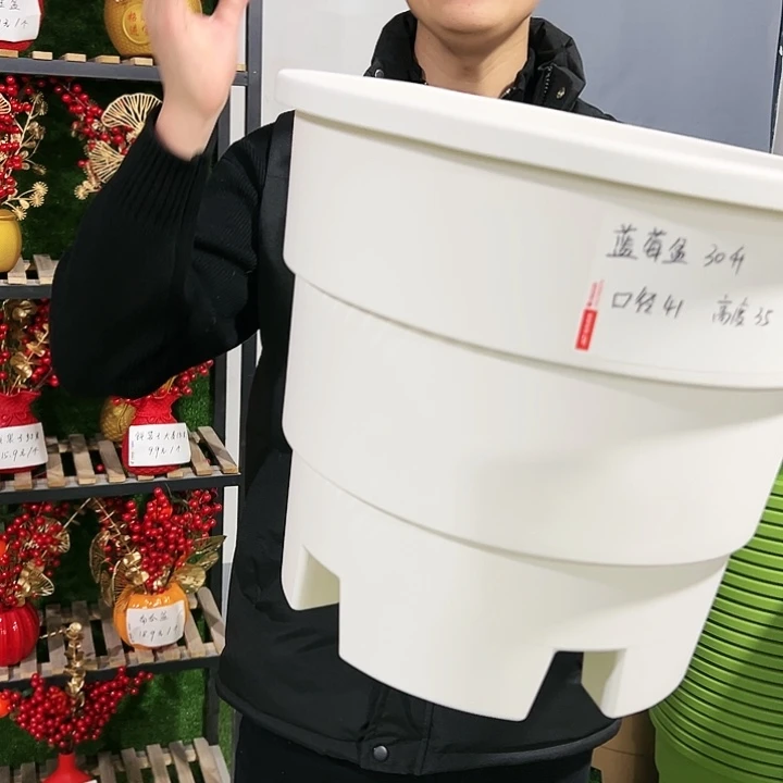 正品蓝莓口41高35白色3只无托