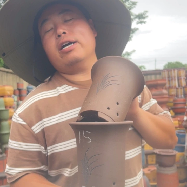 紫砂花瓶紫砂花盆盆栽花卉盆栽观赏