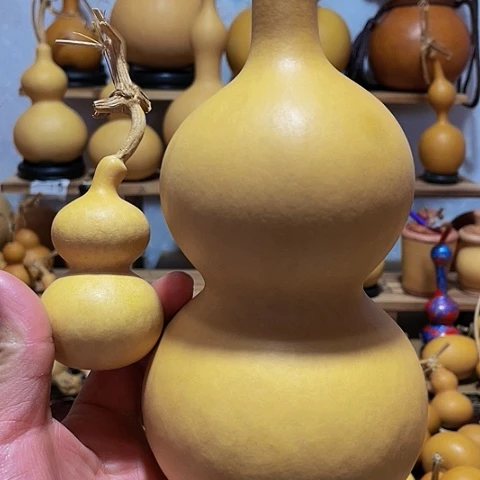 精品厚皮小八宝葫芦