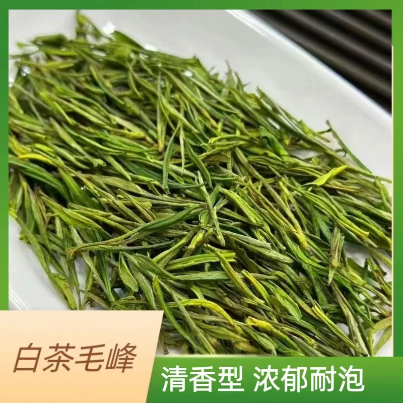 明前白茶毛峰2025【小伟推荐】绿茶新茶