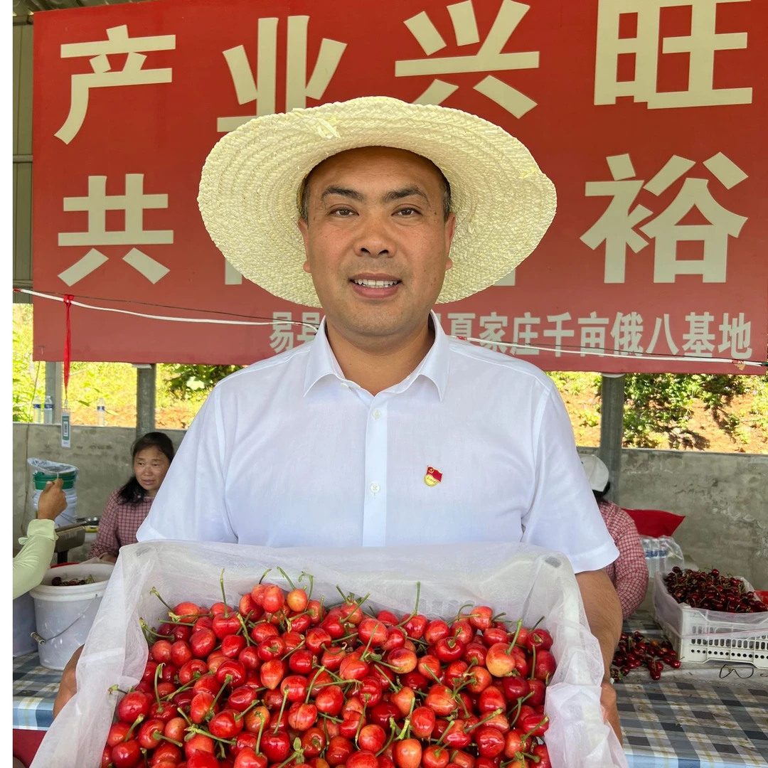 河北易县【zm萨米脱】3斤新鲜樱桃采摘顺丰包邮新鲜水果现货直发D-LDH萨米脱樱桃