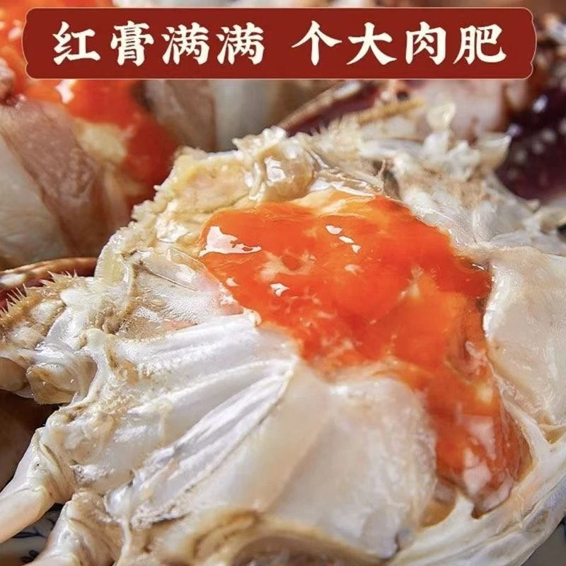 【次日达】精品红膏蟹4两左右/只 舟山产地直发 咸呛蟹 生食即食下饭美味 不可蒸煮