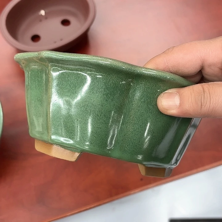 紫砂花盆树*？紫砂的花开