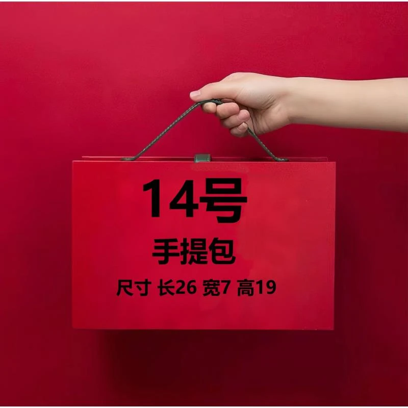 【14号】BL2024新款轻奢百搭洋气手提包8113