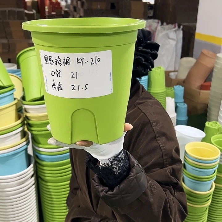 正品圆控口21高21果绿无托5只