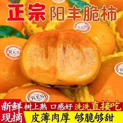 【阳丰脆柿】山西阳丰冰糖心脆柿无籽无核脆甜爽口产地直发应季水