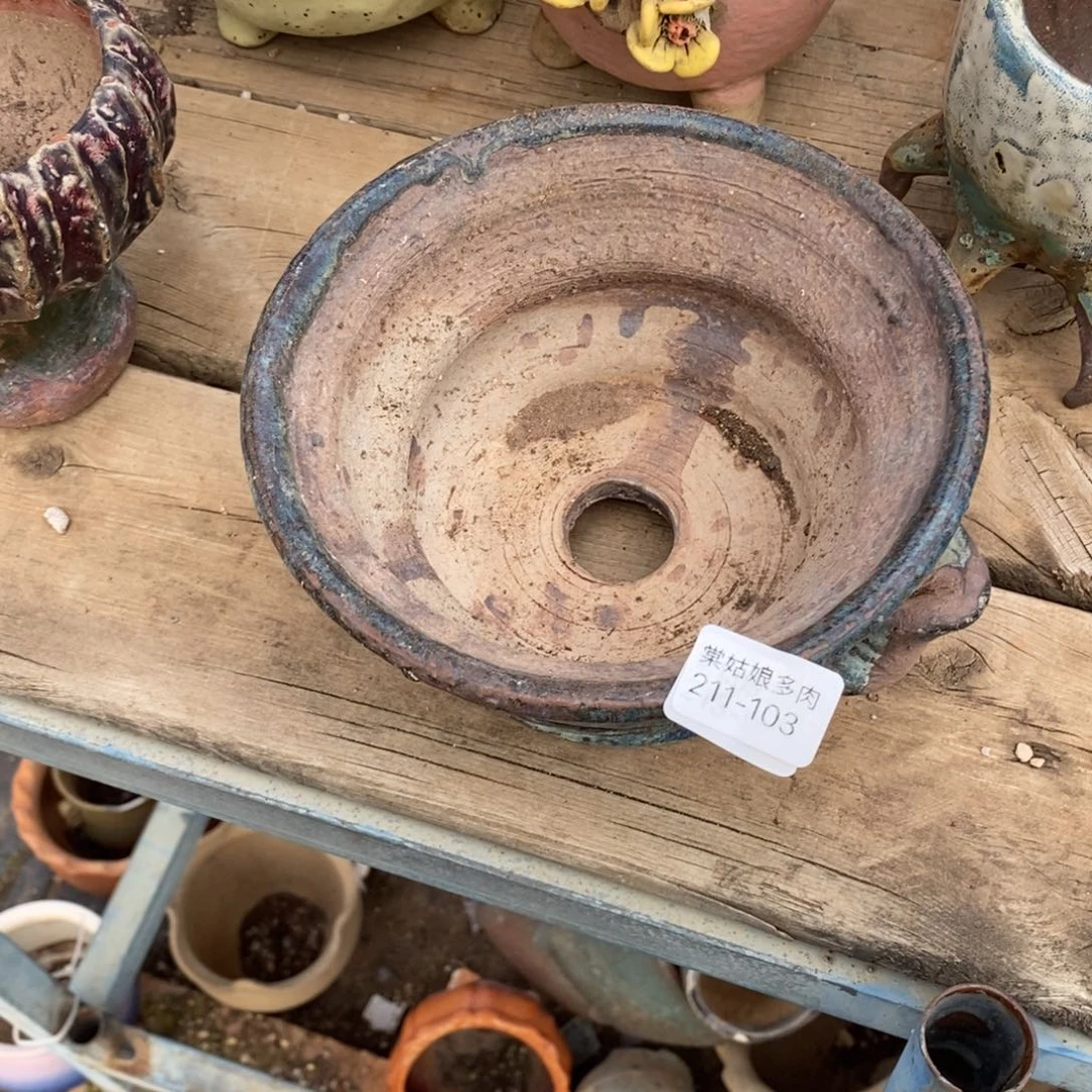 红陶群*103号多肉盆一个呀