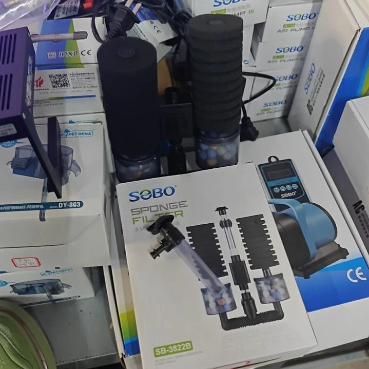 红嘴尖格鱼松宝电动sb3822b