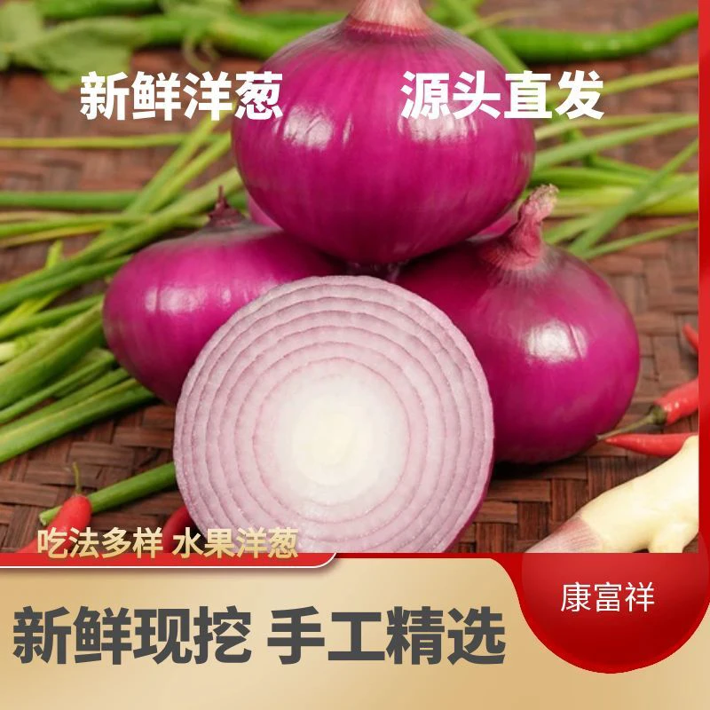 【到手带箱9斤】2025新鲜现挖紫皮洋葱 炒菜凉拌生吃配料