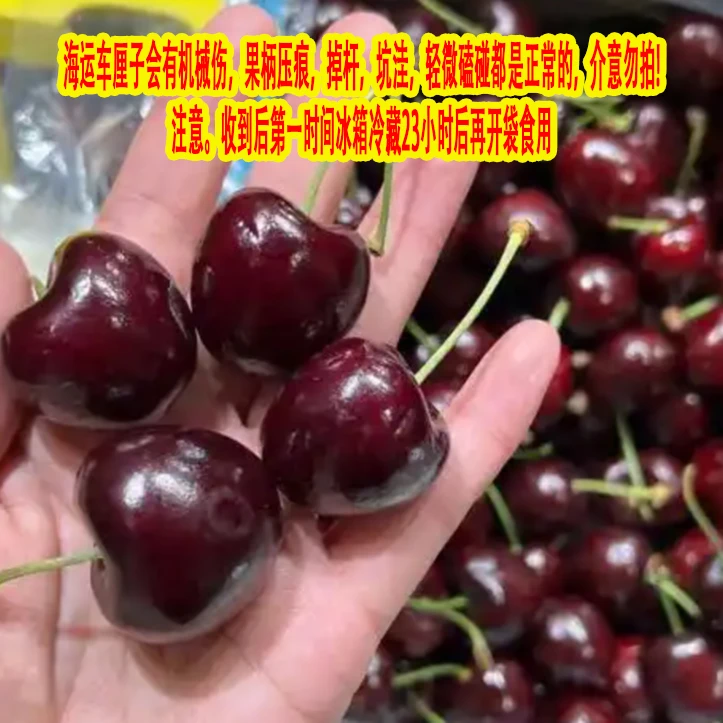 【散装】桑提娜【智利进口海运吉制车厘子J】(净重1斤)【N】 内附果径卡
