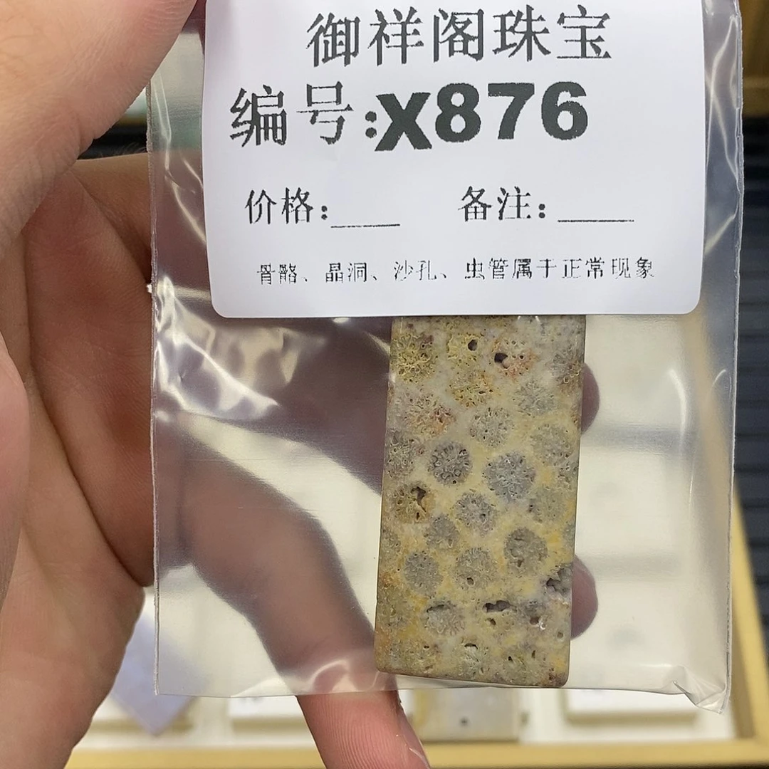 硅化珊瑚（珊瑚玉）未镶嵌颈饰-****了