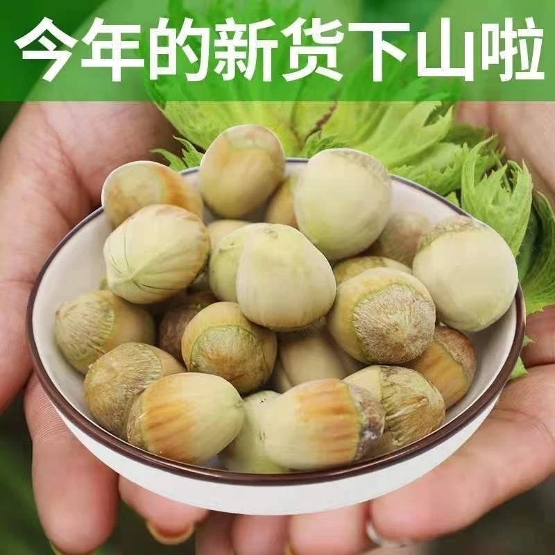 （2025年）新鲜人工脱皮水仁大榛子去绿皮新货东北野生水瓤榛子