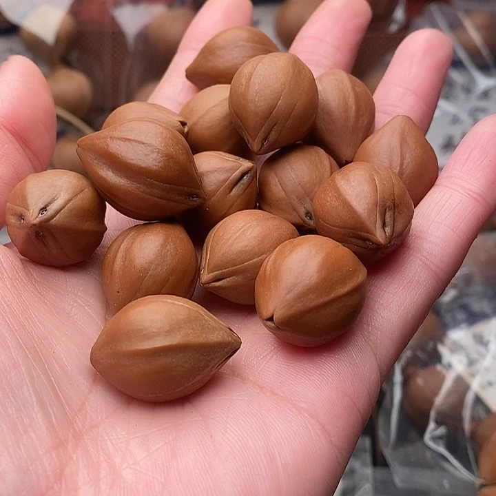 手串/手链橄榄核