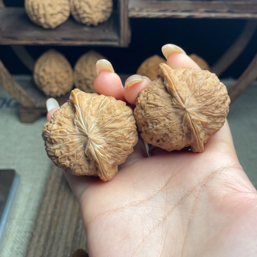 用***2木质南瓜45 全品白茬