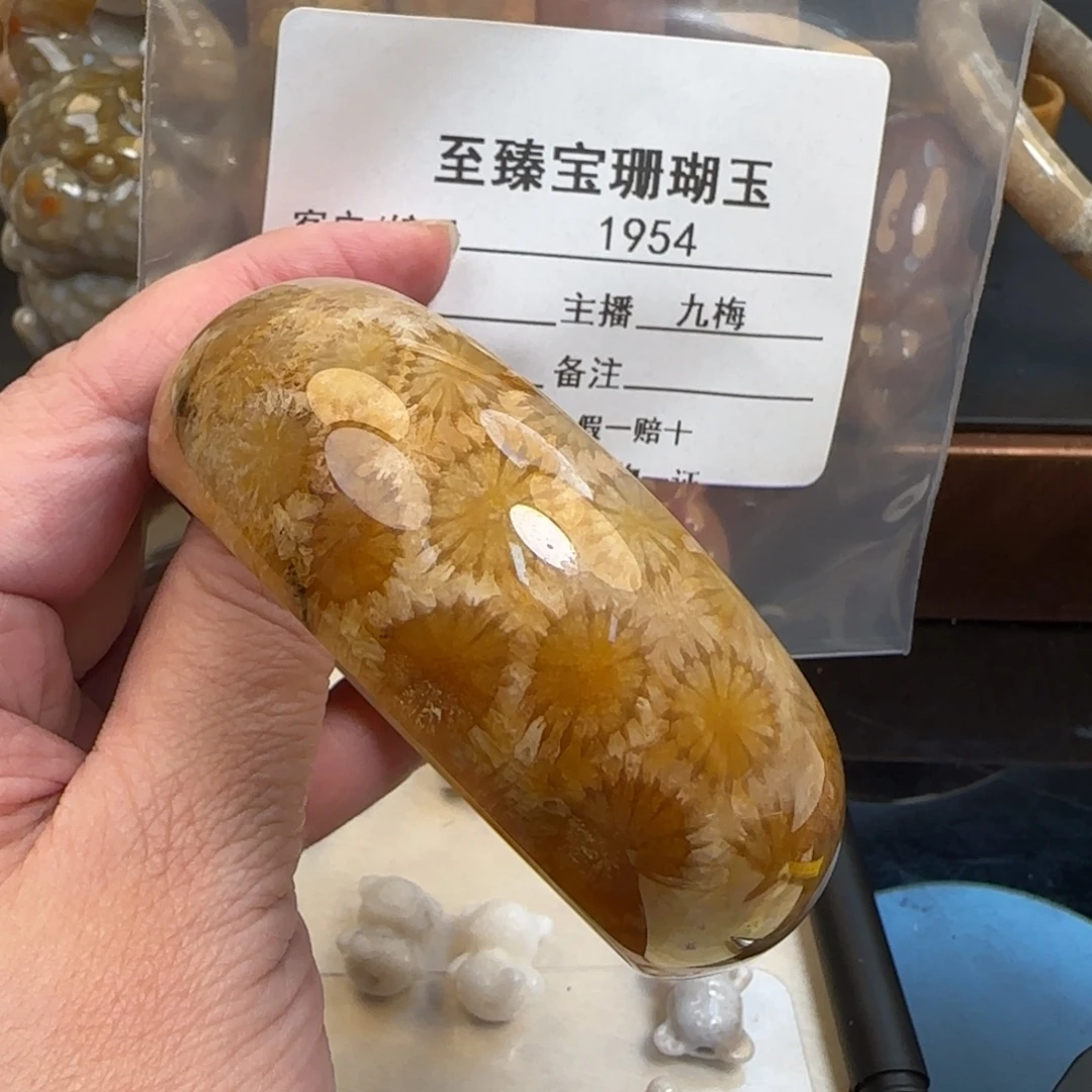 晶***猫硅化珊瑚（珊瑚玉）未镶嵌手镯