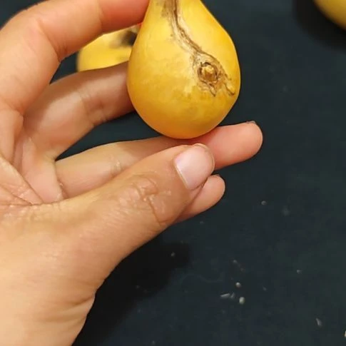 各***美葫芦葫芦葫芦葫芦